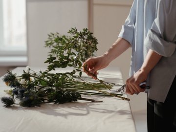 國(guó)際商標(biāo)注冊(cè)全攻略：輕松護(hù)牌，開啟全球品牌之路