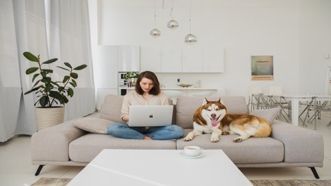 Temu平臺入駐指南