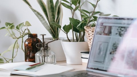 商家選擇temu半托管需要留意那些問題？